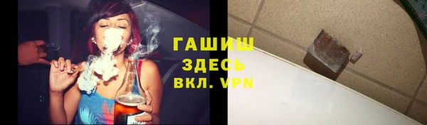 крисы Кулебаки