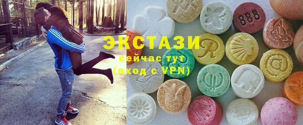 крисы Кулебаки
