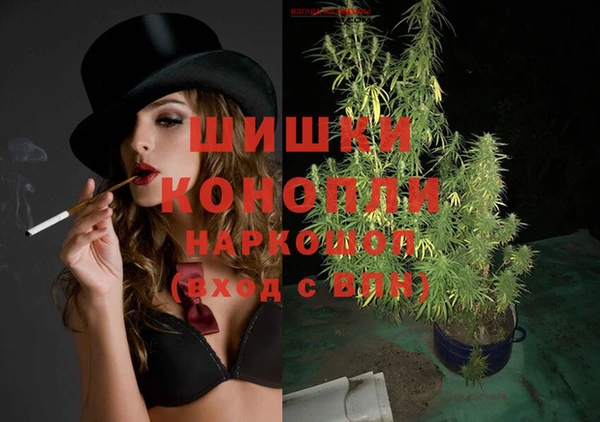 крисы Кулебаки