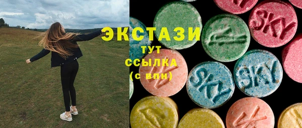 крисы Кулебаки