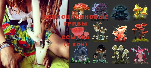 jwh Кукмор