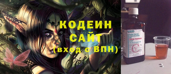 крисы Кулебаки
