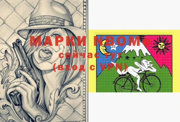 крисы Кулебаки