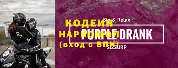 крисы Кулебаки