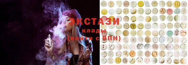 крисы Кулебаки