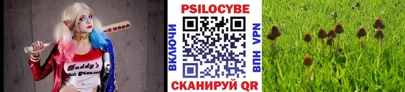 Галлюциногенные грибы Psilocybine cubensis  Купить где  Зеленокумск 